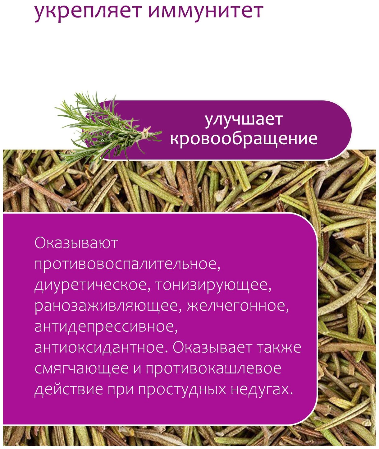 Розмарин сушеный Приправа Травяной чай сбор Травы горного Крыма, 50 гр