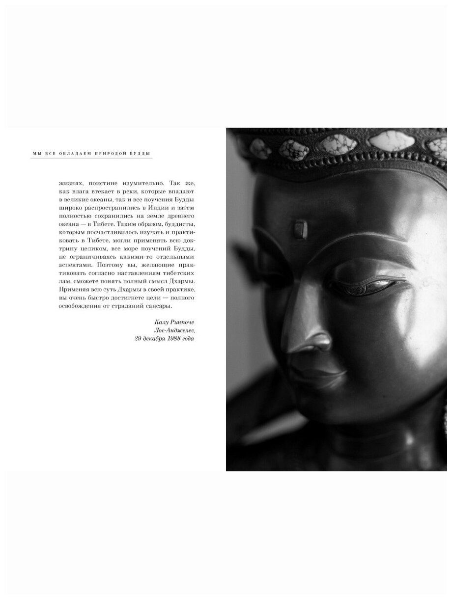 Практический буддизм. Простые шаги к глубокому опыту - фото №5