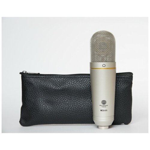 MCU-01-N Микрофон конденсаторный USB никель Октава 608000₽