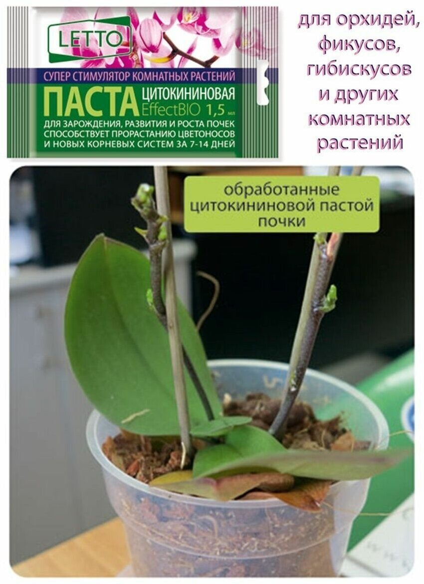 Стимулятор роста для орхидей и комнатных цветов Цитокининовая паста 1,5мл TUT BIO - фотография № 6