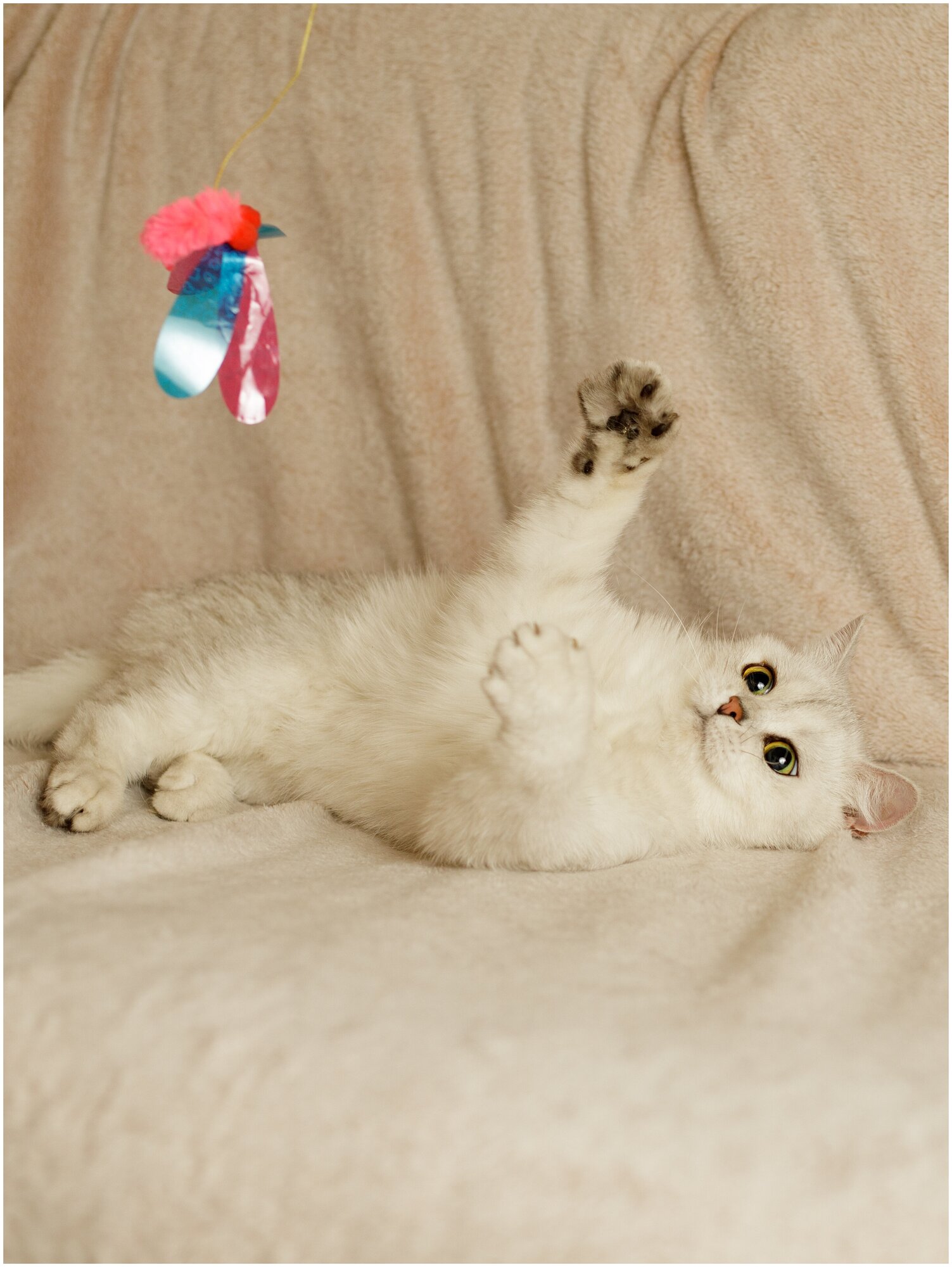 Игрушка для кошек Japan Premium Pet удочка с непредсказуемой траекторией движения для опытных кошачьих охотников , стрекоза - фотография № 4