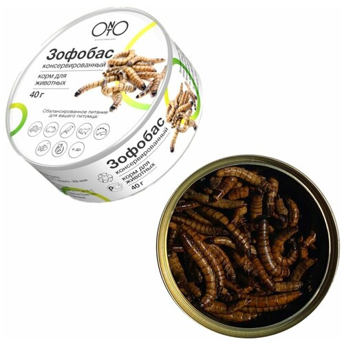 Лакомство Onto зофобас консервированный для насекомоядных животных 40 г 404₽