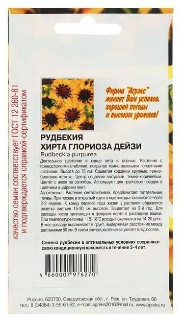 Семена цветов Рудбекия "Хирта Глориоза Дейзи" 01 г