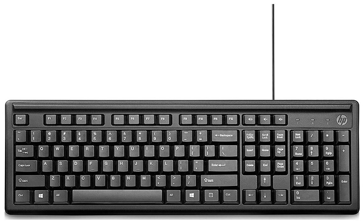 Клавиатура проводная HP Keyboard 100, USB, Черный 2UN30AA - фото №1