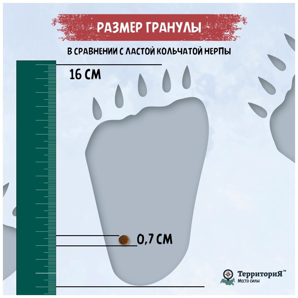 ТерриториЯ "Таймыр" с белой рыбой и брусникой сухой корм для взрослых кошек 1,5кг - фотография № 6