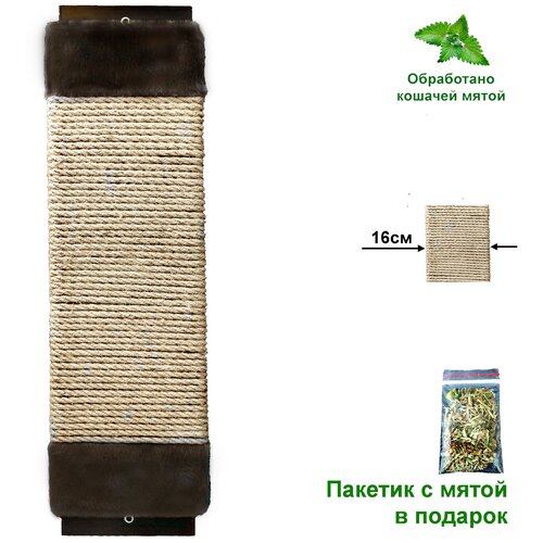 Когтеточка 