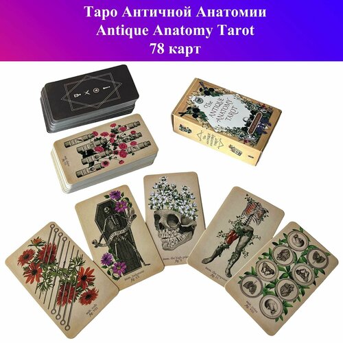 Таро Античной Анатомии / Antique Anatomy Tarot