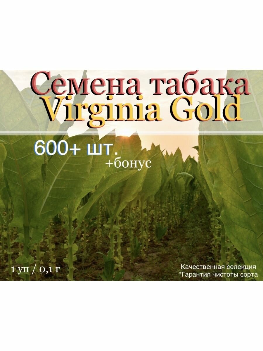 Семена табака Virginia Gold