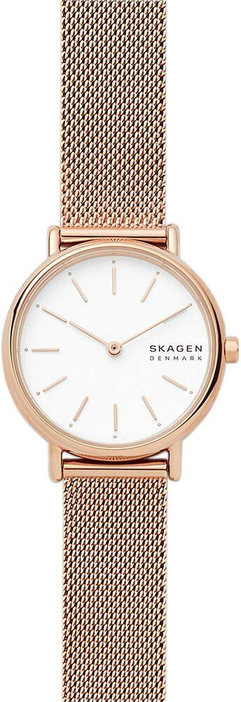 Наручные часы SKAGEN SKW2694