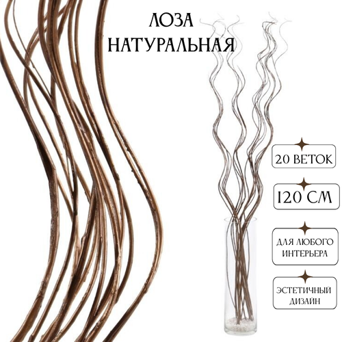 Сухоцвет набор декоративных веток 20 штук 120 см бронзовые 620₽