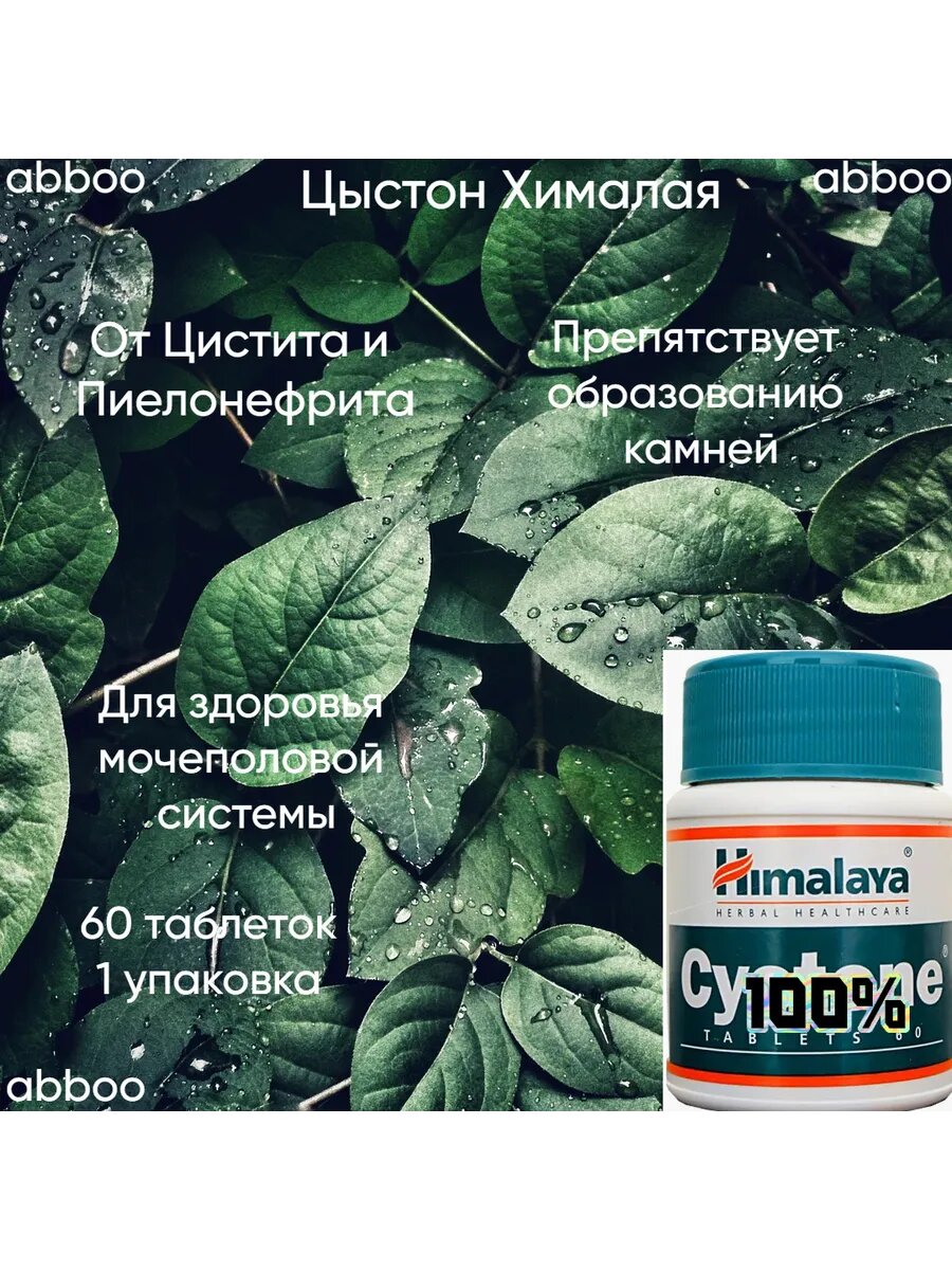Цыстон  от цистита и камней в почках  1 банка