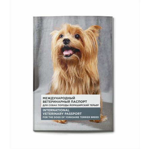 Ветеринарный паспорт для собак породы йоркширский терьер