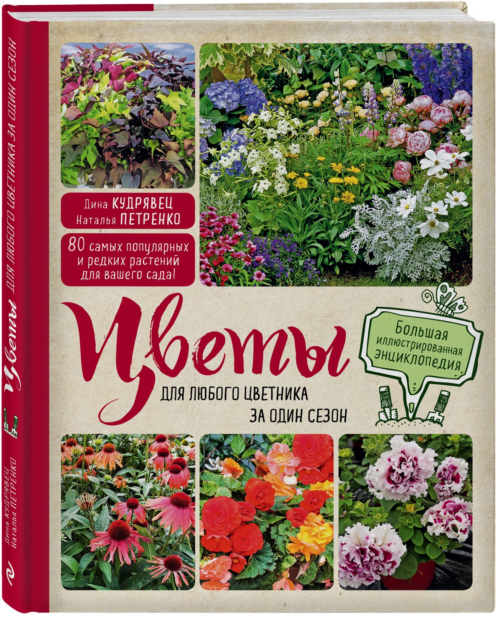 Кудрявец Д. Б, Петренко Н. А. Цветы для любого цветника за один сезон. Большая иллюстрированная энциклопедия