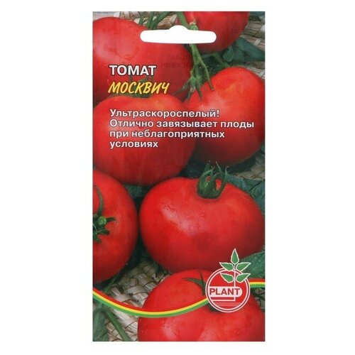 Семена Томат Москвич, 25 шт 4 шт семена томат москвич цв п 0 1 г