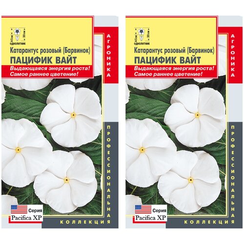 Семена Катарантус розовый (Барвинок) пацифик вайт, 2 уп. по 8 семян, Плазменные семена