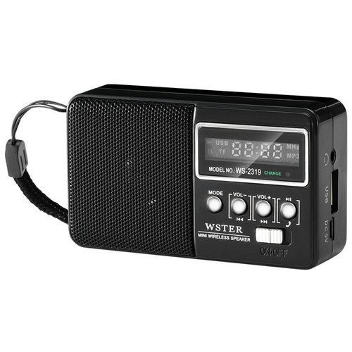 Радиоприемник Wster WS-2319 черный 67900₽