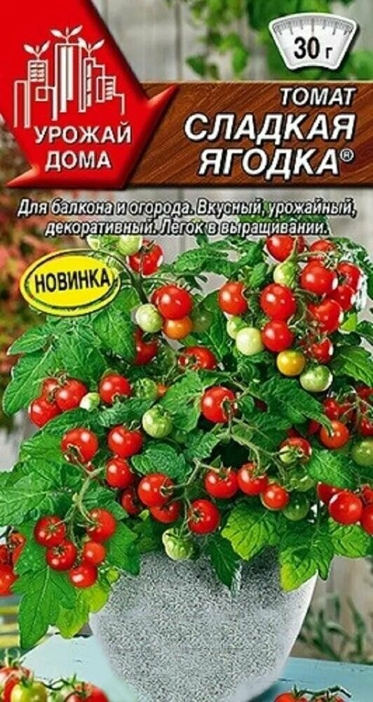 Томат Сладкая ягодка, 1 пакет (20 семян), для выращивания на балконе или подоконнике, компактный, не требуется подвязка.