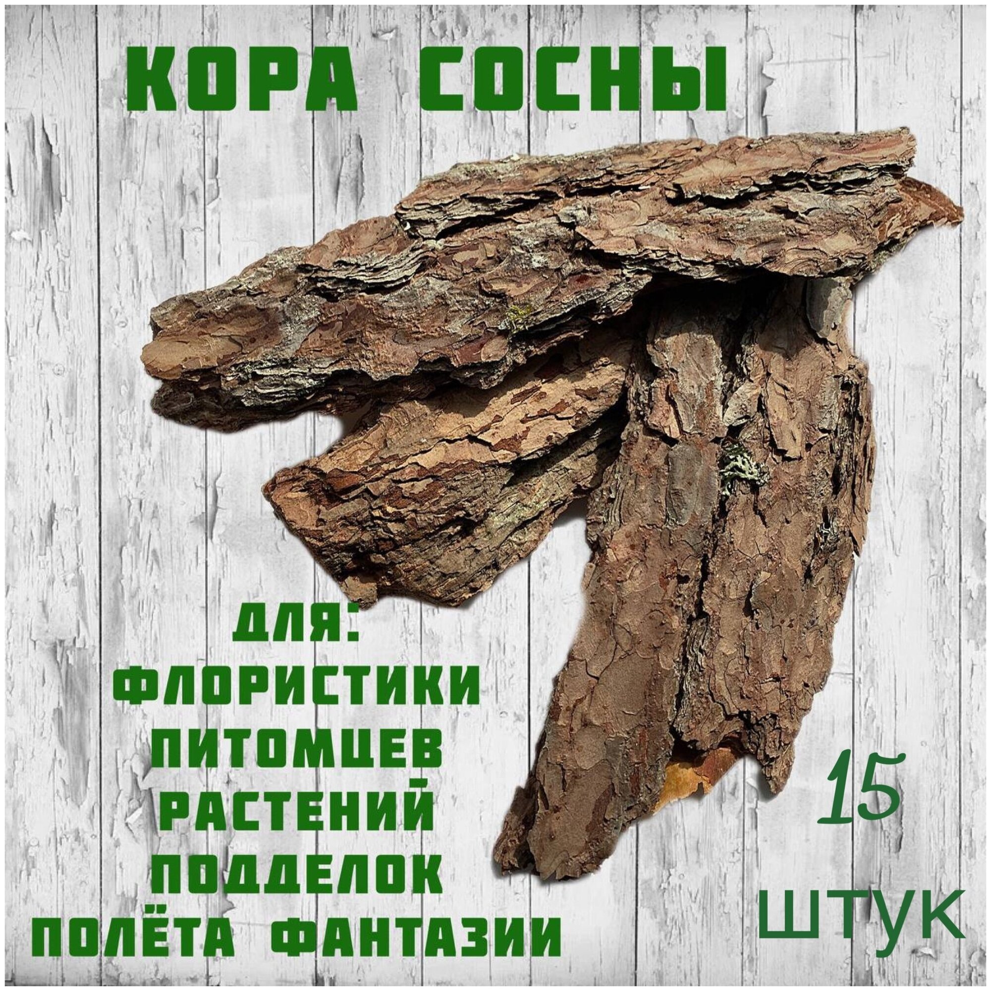Карельская сосна текстура — купить по низкой цене на Яндекс Маркете