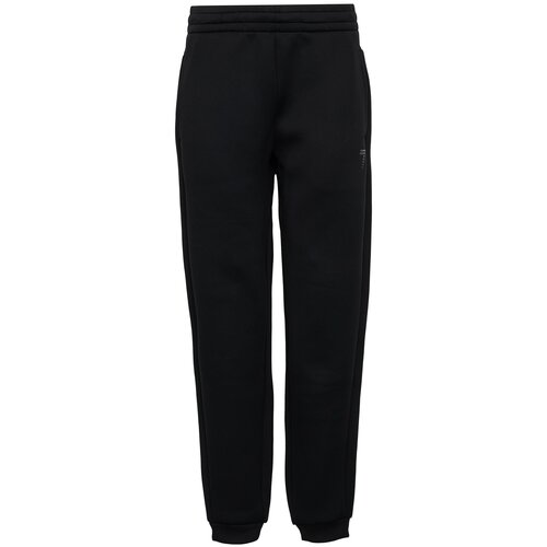 Брюки мужские Trouser EA7