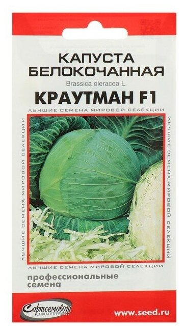 Семена Капуста белокочанная "Краутман" F1 Дом семян, 11 шт — фото 3