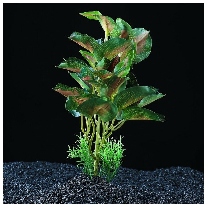 Пижон Аква Растение аквариумное "в горшочке", 31 х 23 х 19 см - фотография № 4
