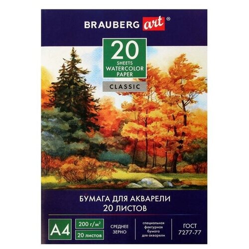 Brauberg Папка для акварели А4, 210 х 297 мм, 20 листов, блок 200 г/м2, бумага по ГОСТ 7277-77