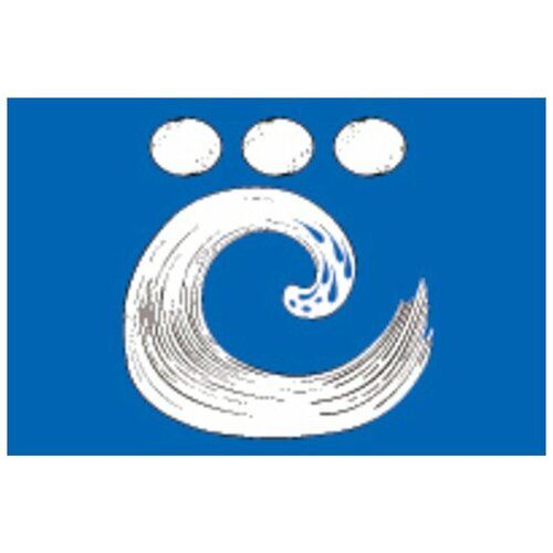 фото Флаг косина-ухтомского цтп «феникс»