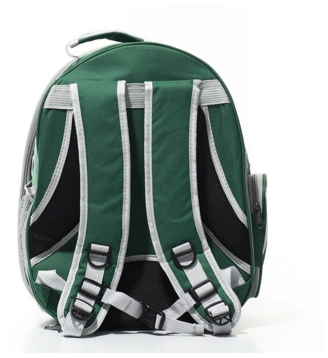 Прозрачный раскладывающийся рюкзак для животных, 33х28х42 см, зеленый - фотография № 3