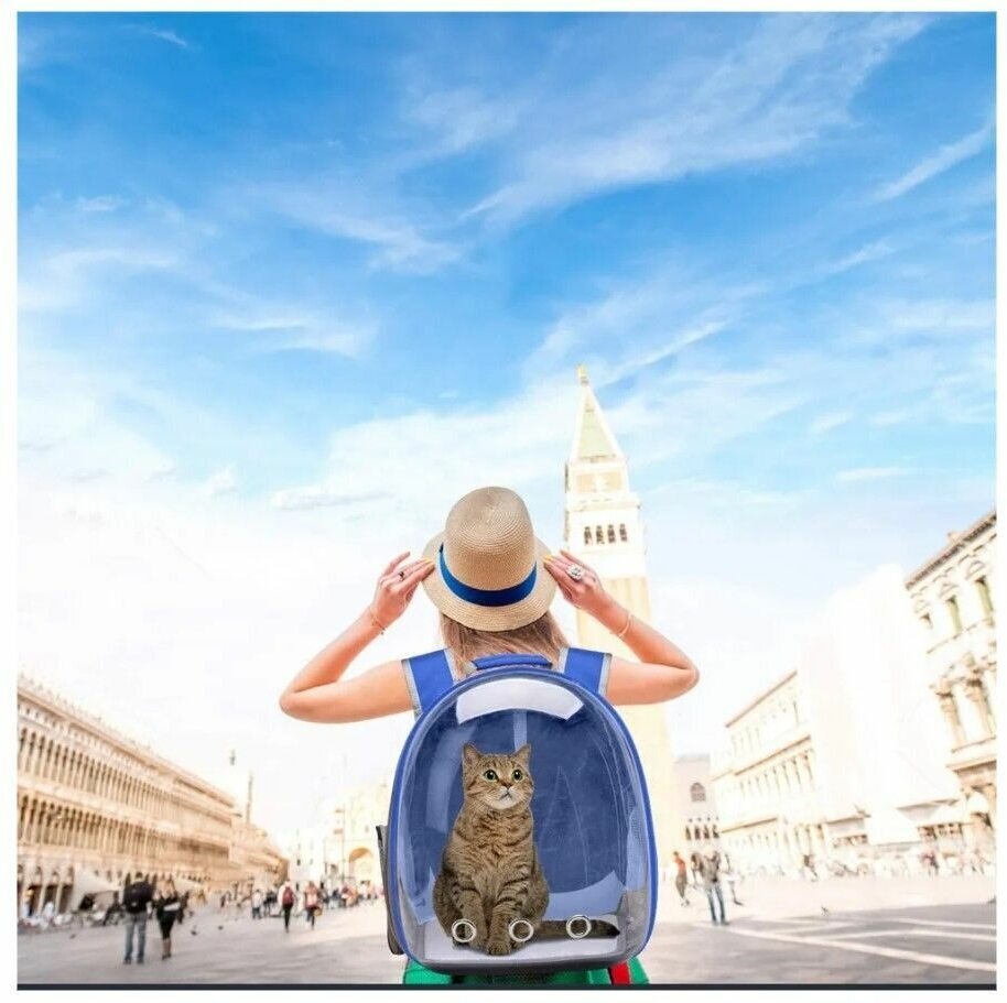 Рюкзак переноска для собак и кошек с иллюминатором / Ранец для животных с панорамным видом Morento синий - фотография № 4