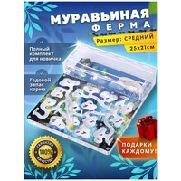 Средняя муравьиная ферма максимальный комплект , topant.ru / формикарий