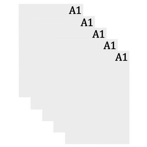 Набор 5 л ватман чертежный А1 200г/м2 В А1. (2589440)