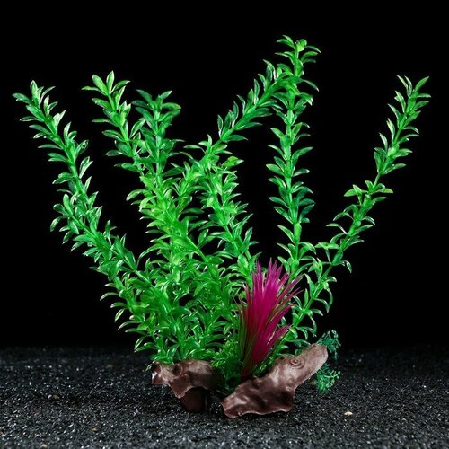 Растение искусственное аквариумное на платформе в виде коряги, 30 см, зелёное растение искусственное аквариумное 15 см красно зелёное 3 шт