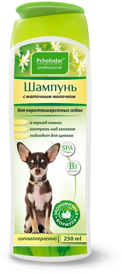 Пчелодар Шампунь для короткошерстных собак гигиенический с маточным молочком, 250 мл