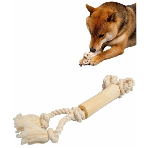 Игрушка для собак Japan Premium Pet со скользящей веревкой в виде мозговой кости быка, с функцией чистки зубов.