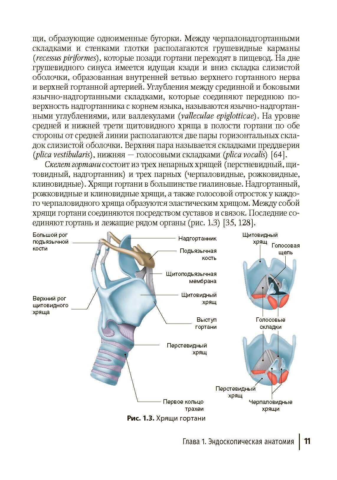 Бронхоскопия в непрофильном медицинском учреждении. Методическое пособие - фото №7