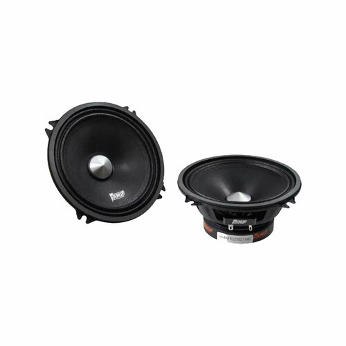 Акустика эстрадная AMP MASS FR52 4ом широкополосная 237000₽