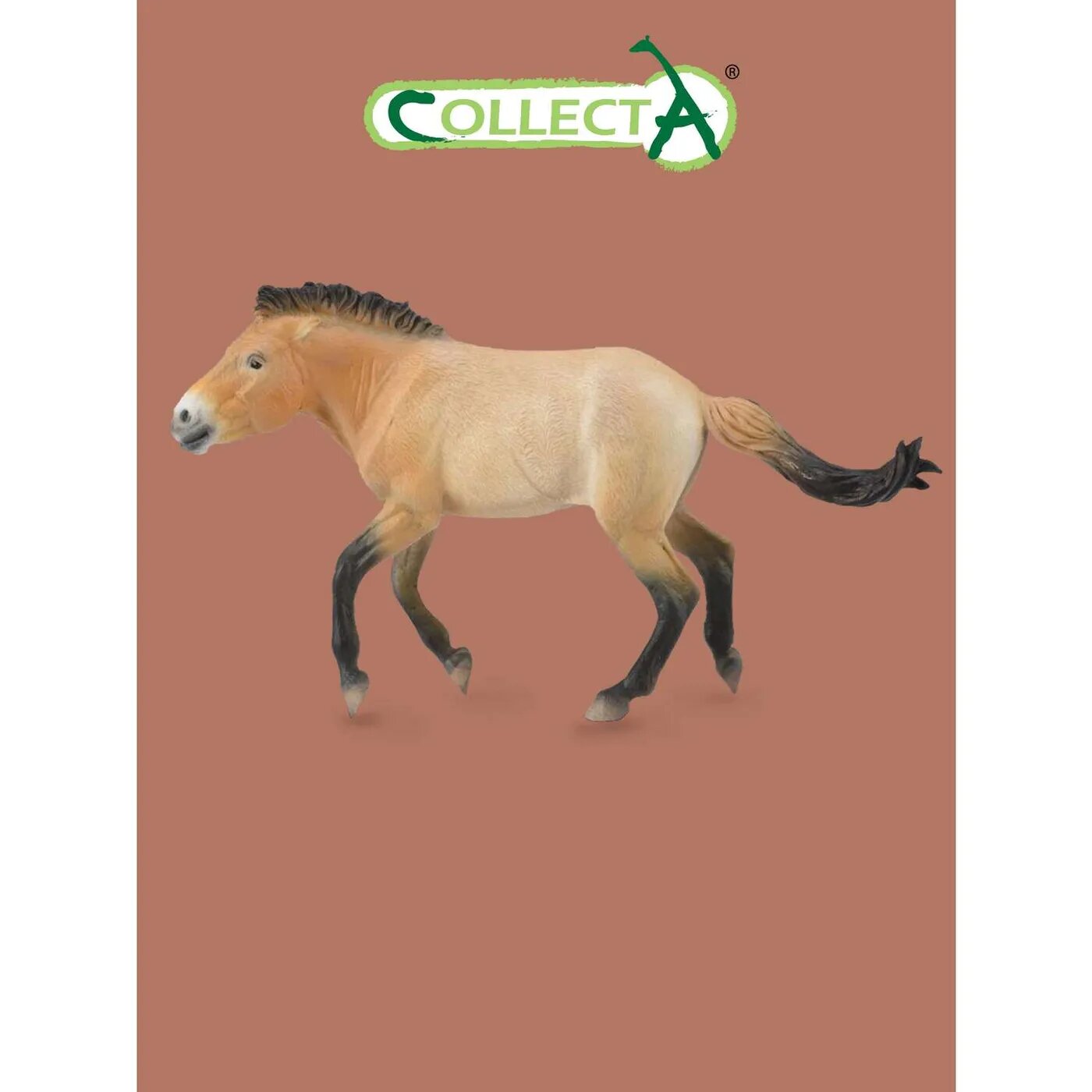 Фигурка животного Collecta лошадь Жеребец Пржевальского