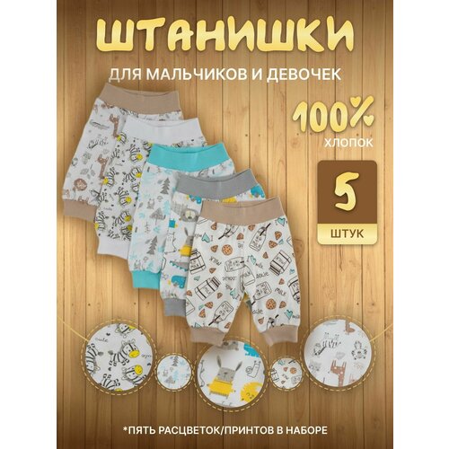 фото Ползунки, комплект из 5 шт., размер 80, цветной артёмушка