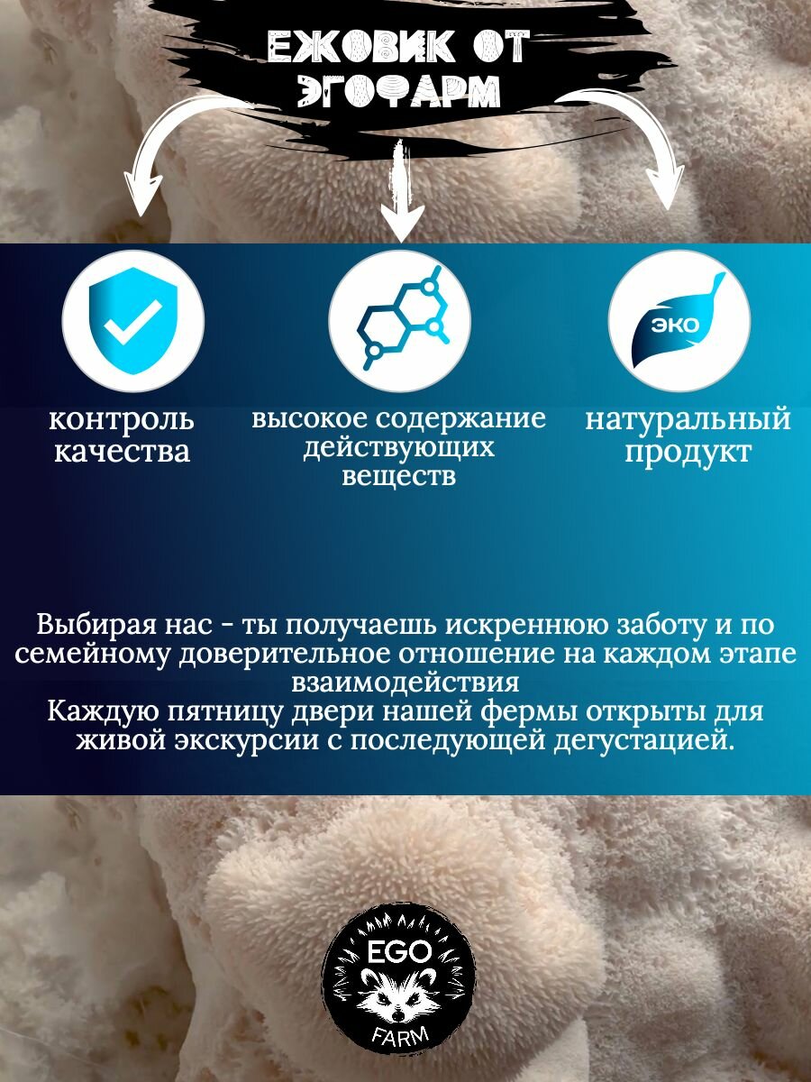 Изображение Ежовик Гребенчатый в порошке 100 грамм. Мицелий и Плодовое тело. Эго-Фарм. Для памяти и концентрации внимания