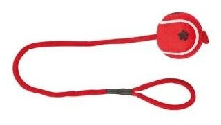 3479 Игрушка Теннисный мяч на веревке, д 6,5 см50 см