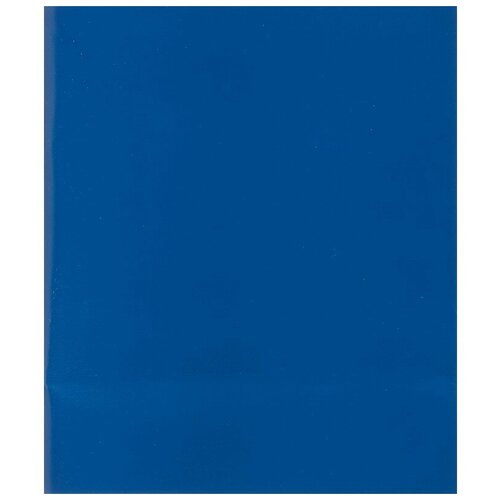 Тетрадь общая, А5, 48 листов, клетка, синяя