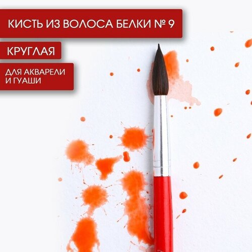 Кисть для рисования из волоса белки круглая № 9 короткая ручка(10 шт.) кисть из волоса пони круглая 9 artlavka короткая ручка