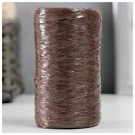 Пряжа для ручного вязания 100% полипропилен 200м/50гр. (09-коричневый), 1шт - изображение