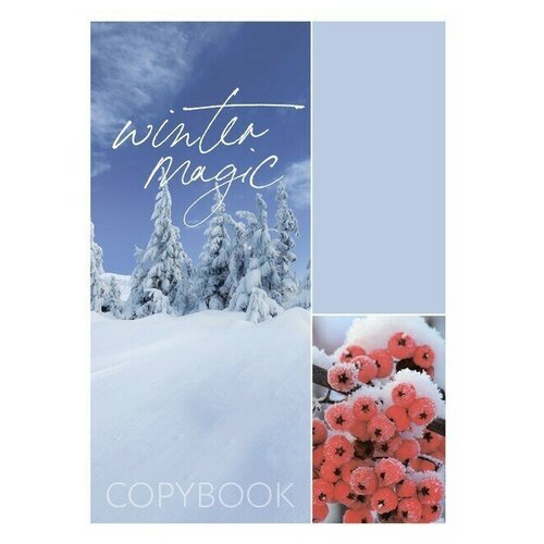 Тетрадь А4 48л кл Зима обл мел карт, бл офс комплект тетрадей из 10 штук 48л кл смайлики обл мел карт бл офс 5вид 2шт