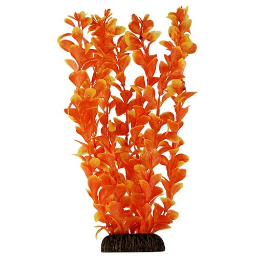 Растение Людвигия оранжевая, 200мм, 2 шт. растение людвигия ярко оранжевая 200мм