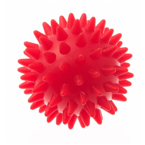 Мяч массажный для животных 5,5 см BL11-015-55 красный myPet