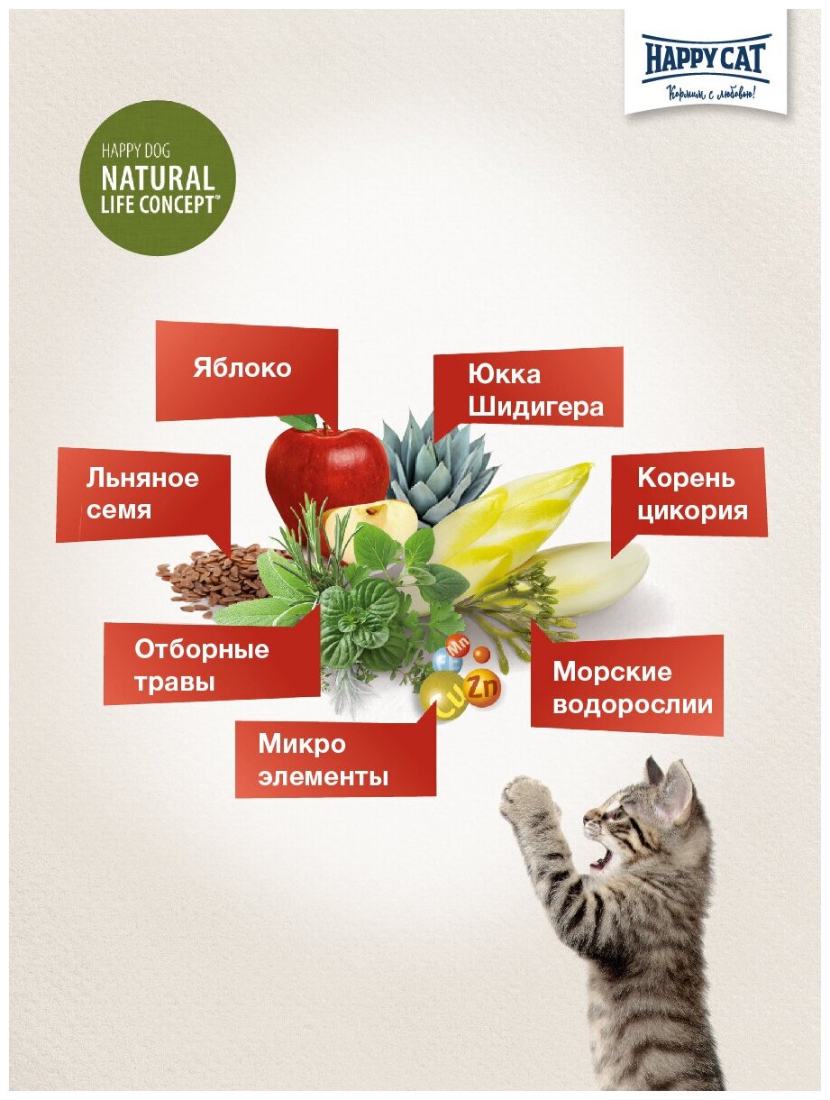 Сухой корм для кошек Happy Cat Culinary с атлантическим лососем 10 кг - фотография № 4