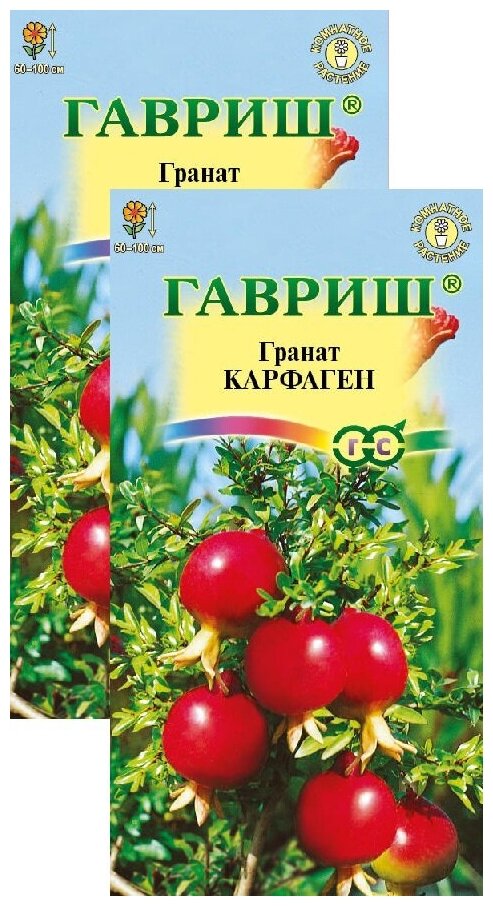 Гранат Карфаген карликовый (5 семян) 2 пакета