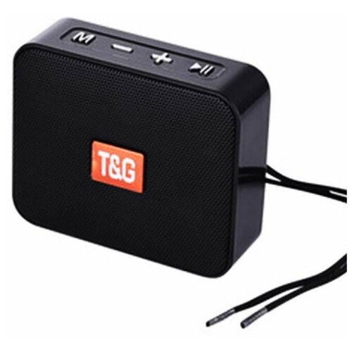 Портативная акустика T &G TG166 черный