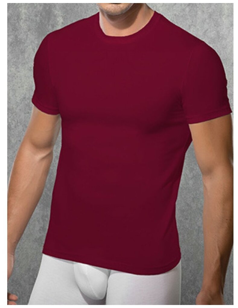 Мужская футболка бордовая Doreanse 2550 Vinous(50) 